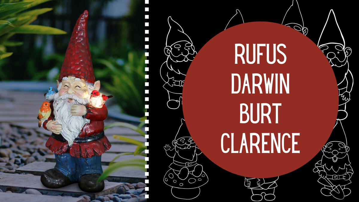 Gname Da Gnome image number null
